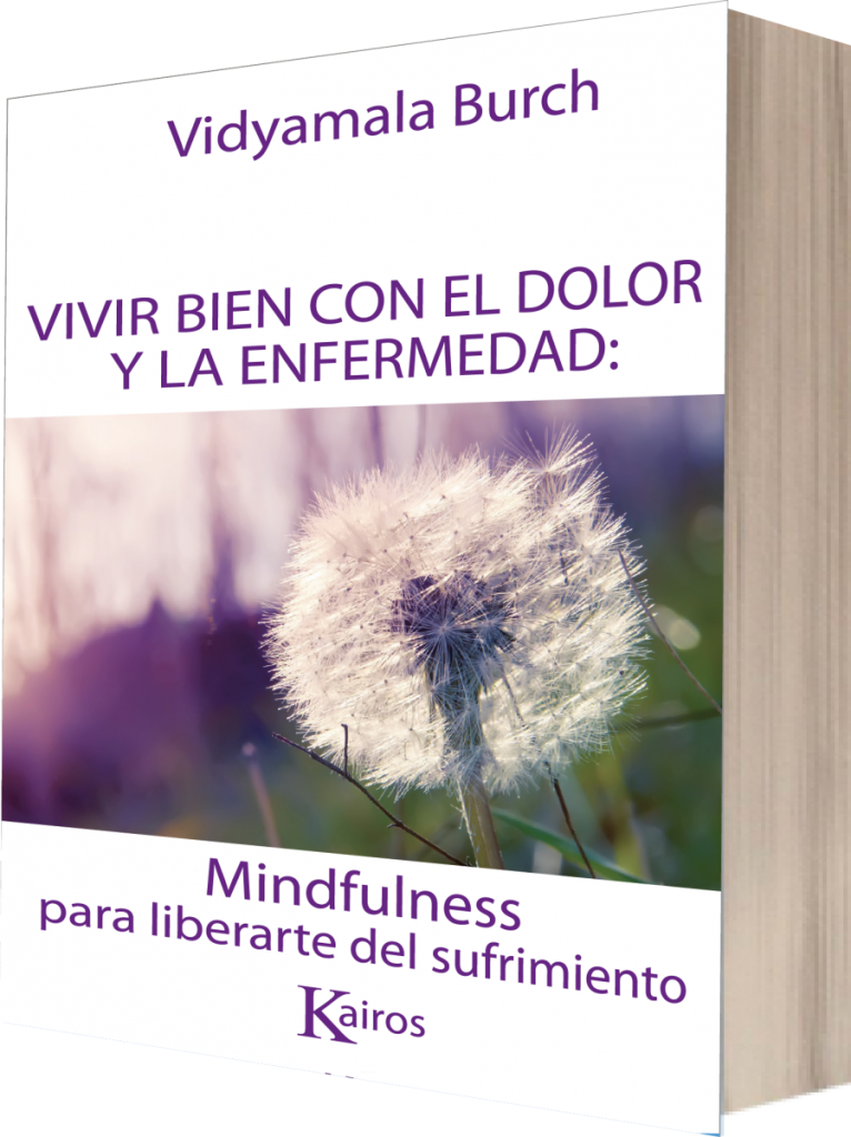 vbde 01