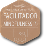 Facilitador A