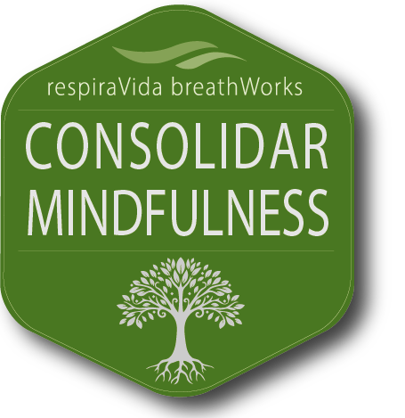 Consolidar la práctica y comprensión de Mindfulness consolidar logo