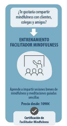 facilitador