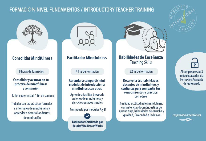 Profesorado certificado nivel fundamentos