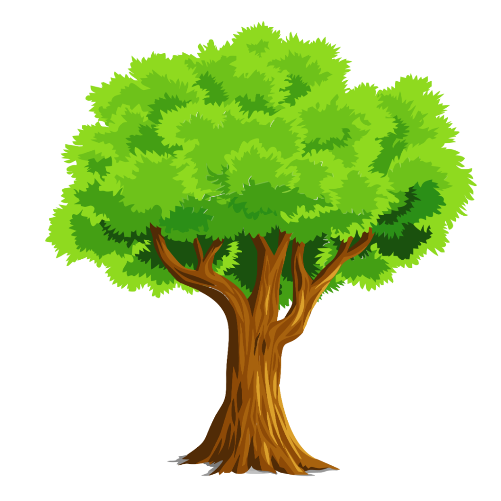 arbol2
