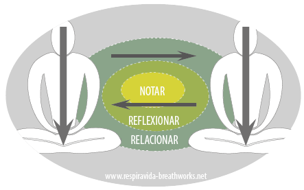 circulos mentor 03