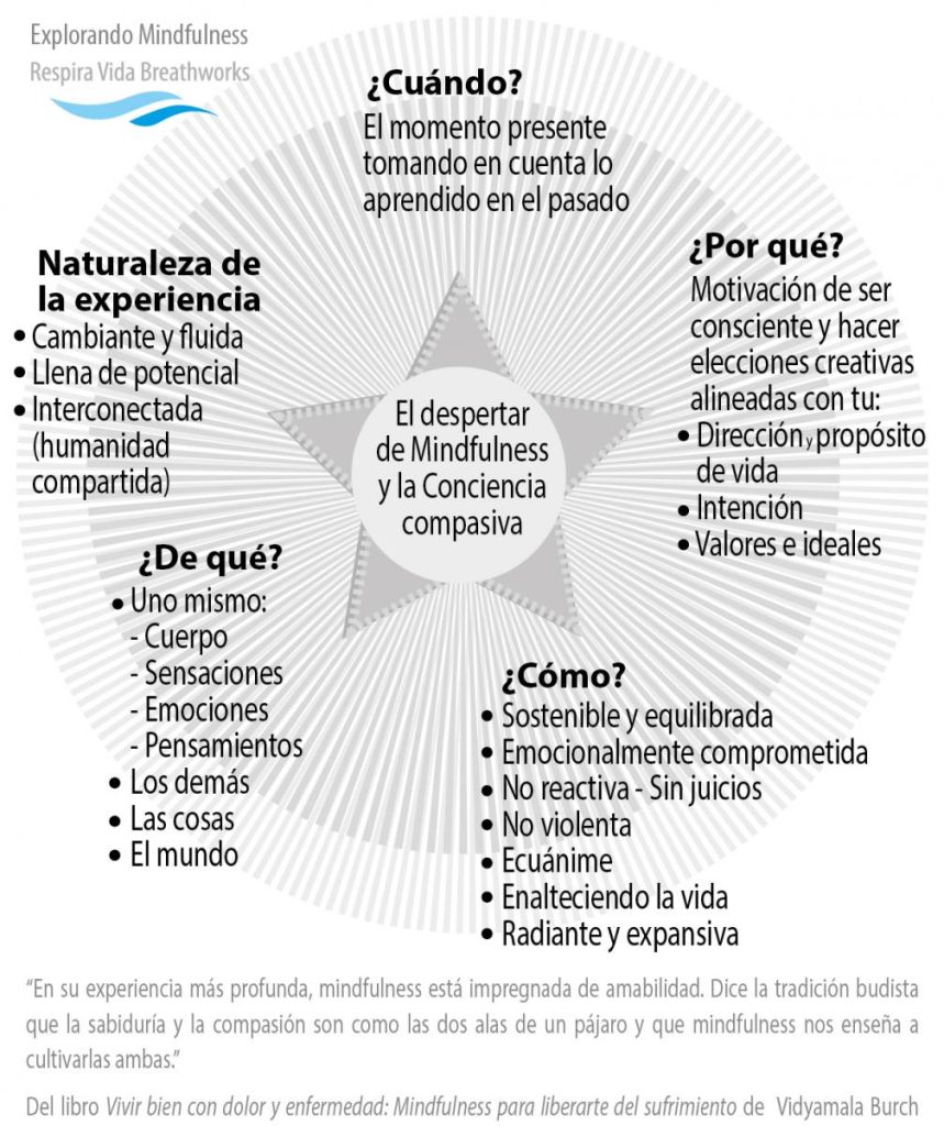 estrella mindfulness 01 1